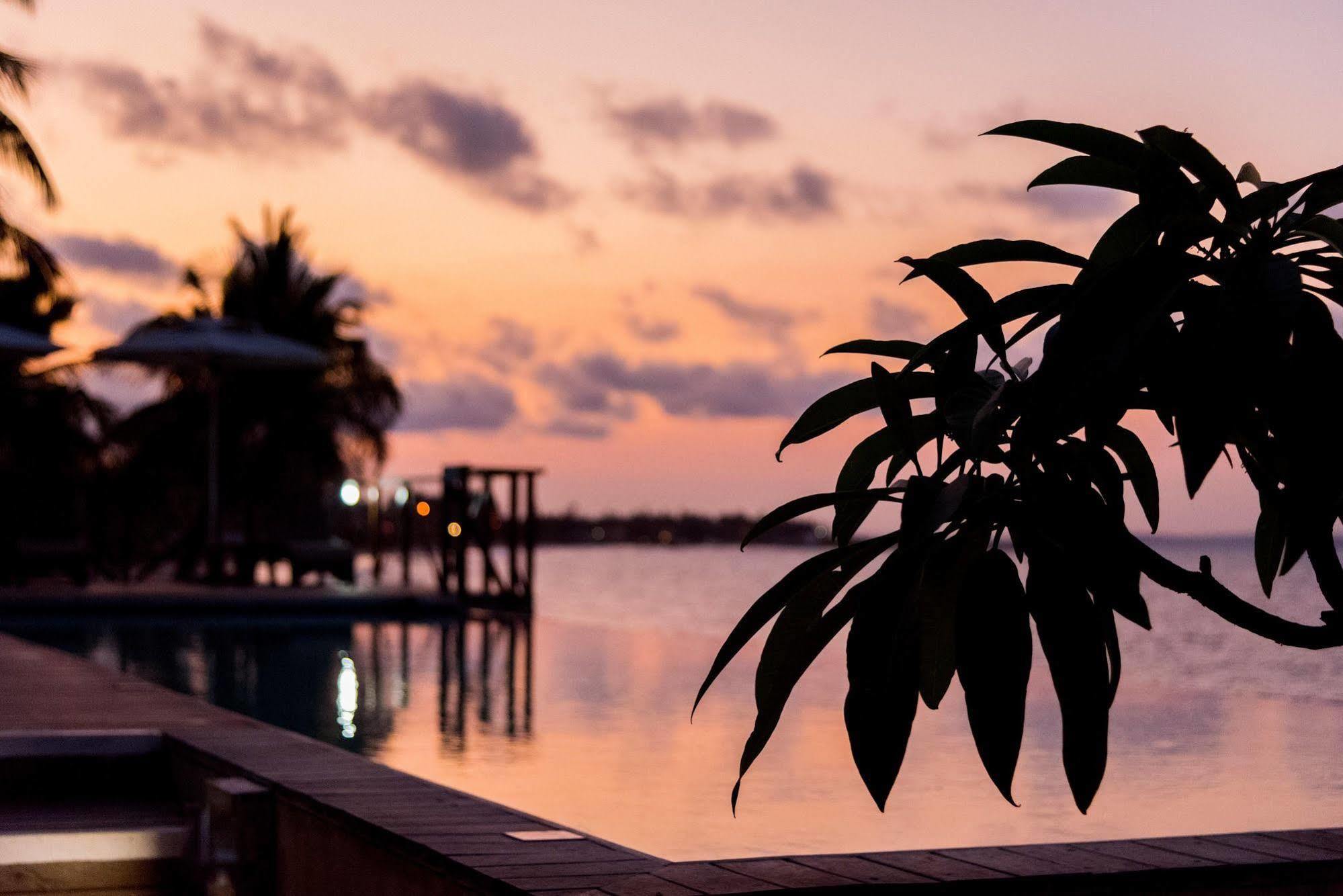The Nautilus Pemba Hotel Kültér fotó